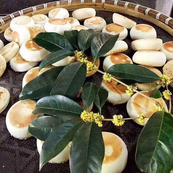 蜂蜜桂花空心饼 淡淡的桂花香和微微的嚼劲,唇齿留着芝麻香