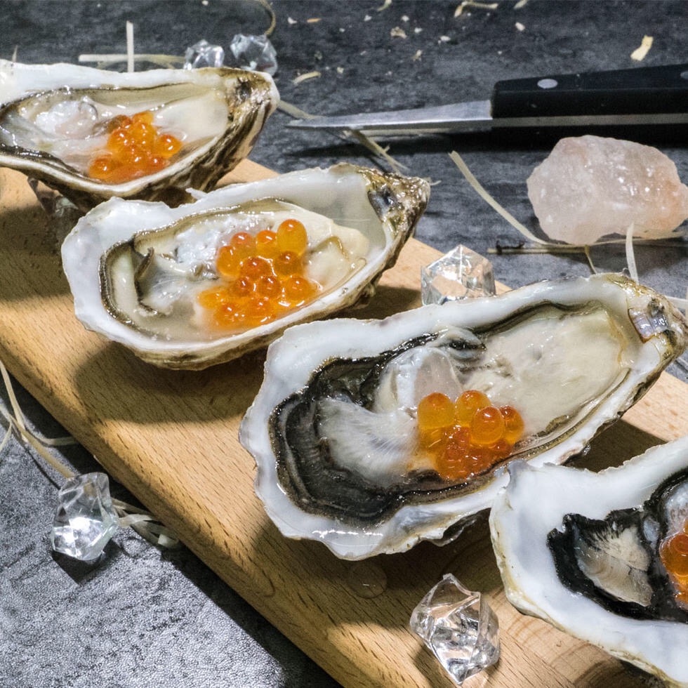 【12只起订】法国安芝莲生蚝ancelin