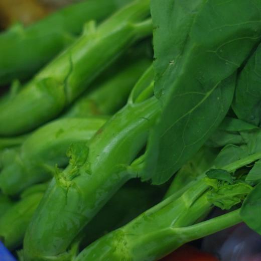 生态芥蓝 | 绿家自产* Ecological Cabbage mustard | In-House Production 商品图2