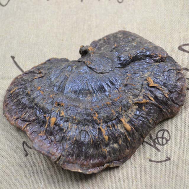 野生 黑灵芝 175g(零售价:280元)【限量批发】