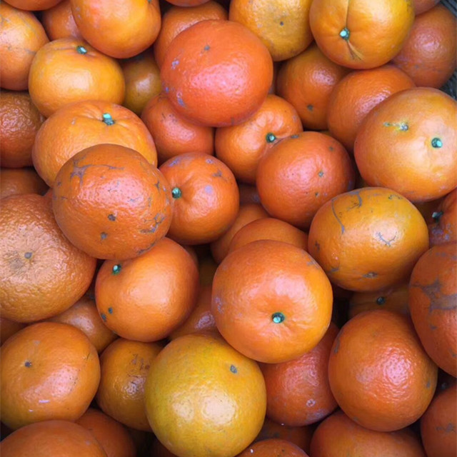 这一款沃柑外观虽然有点花皮 但是口感没有丝毫影响哦~ 依旧清爽甘甜