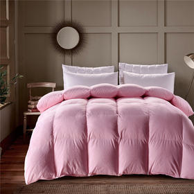 newsega新世嘉家纺 被子被芯 95%白鹅绒被 双层提花 强势锁温 冬被