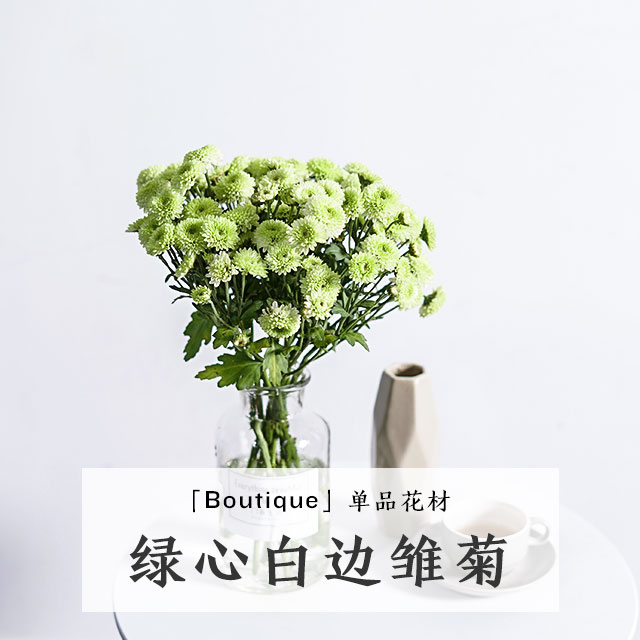 【雛菊背心】雛菊背心價格_新款_圖片 - 做生意,用有贊