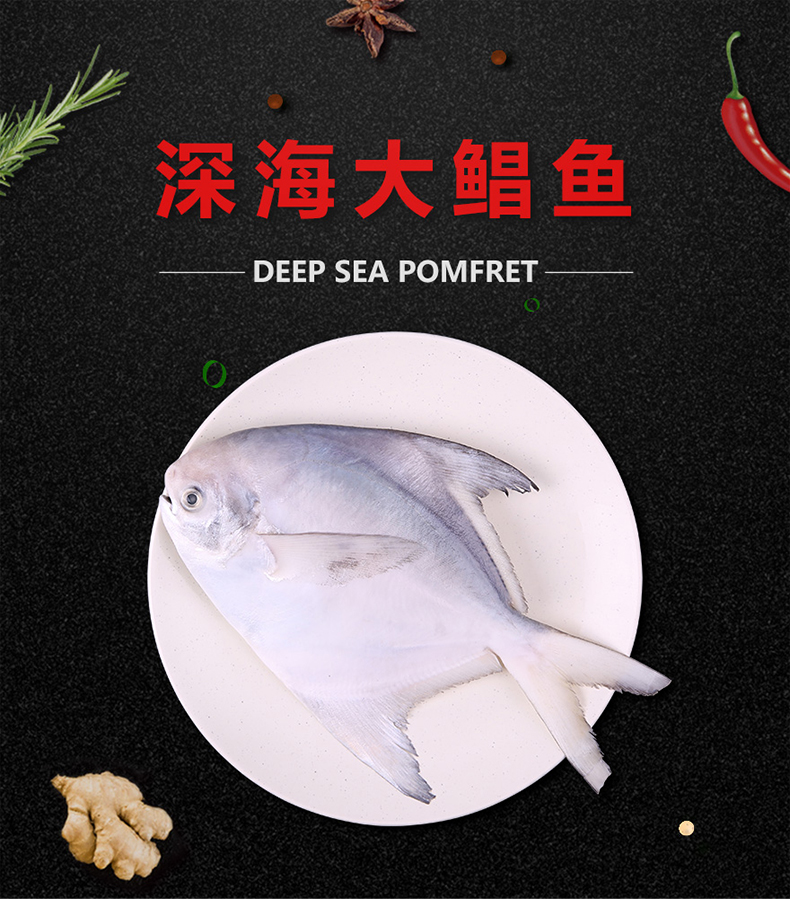白鲳 东海新鲜冷冻野生大白鲳鱼 3条装 海鲜水产