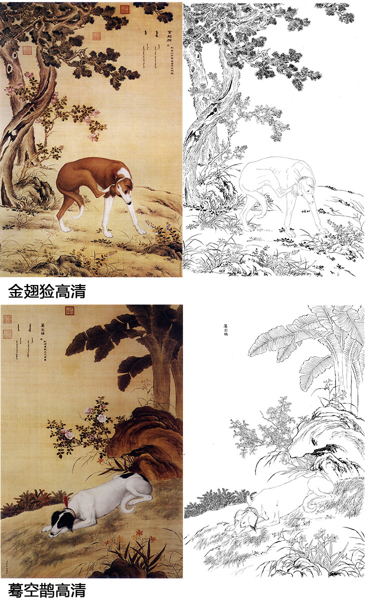 郎世宁十犬图白描底稿