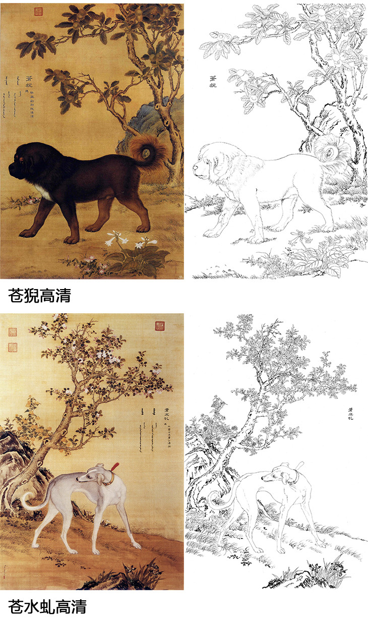 郎世宁十犬图白描底稿