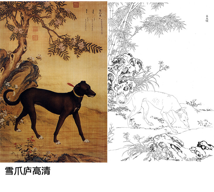 郎世宁十犬图白描底稿-狗-gg01