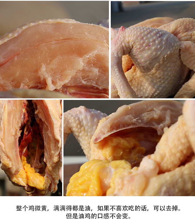 煲汤极鲜!散养北京油鸡 宫廷黄鸡 纯粮喂养 2斤以上