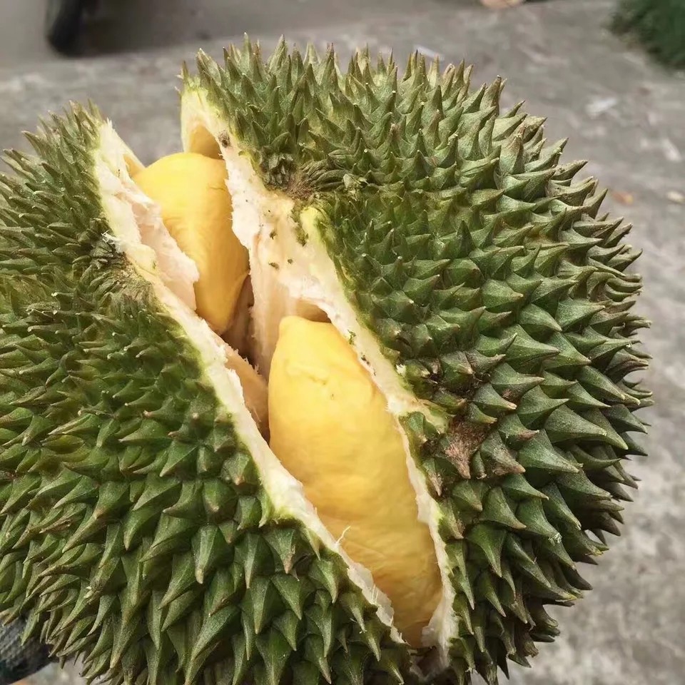 [自营]金枕头榴莲 2.5kg/1个