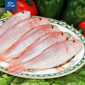 南海海鲜 深海捕捞 野生刀鲤鱼500g 顺丰速运| 南野生鲜