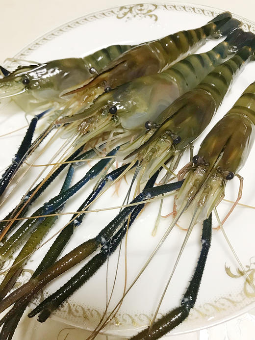 【罗氏虾】 商品图4