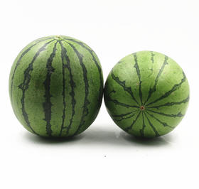海南味喜西瓜 一个8斤左右