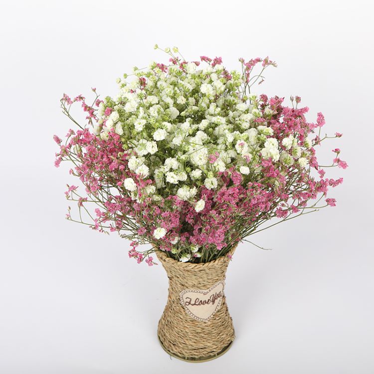 水晶草勿忘我白色满天星干花家居礼物