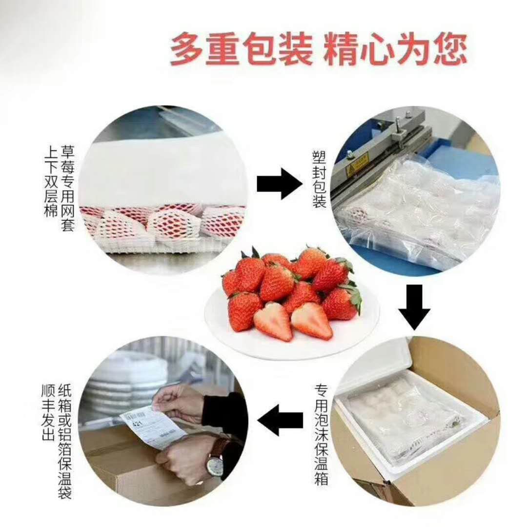 有机红草莓,换真空包装,防止摔伤!成本增加,价格不变!