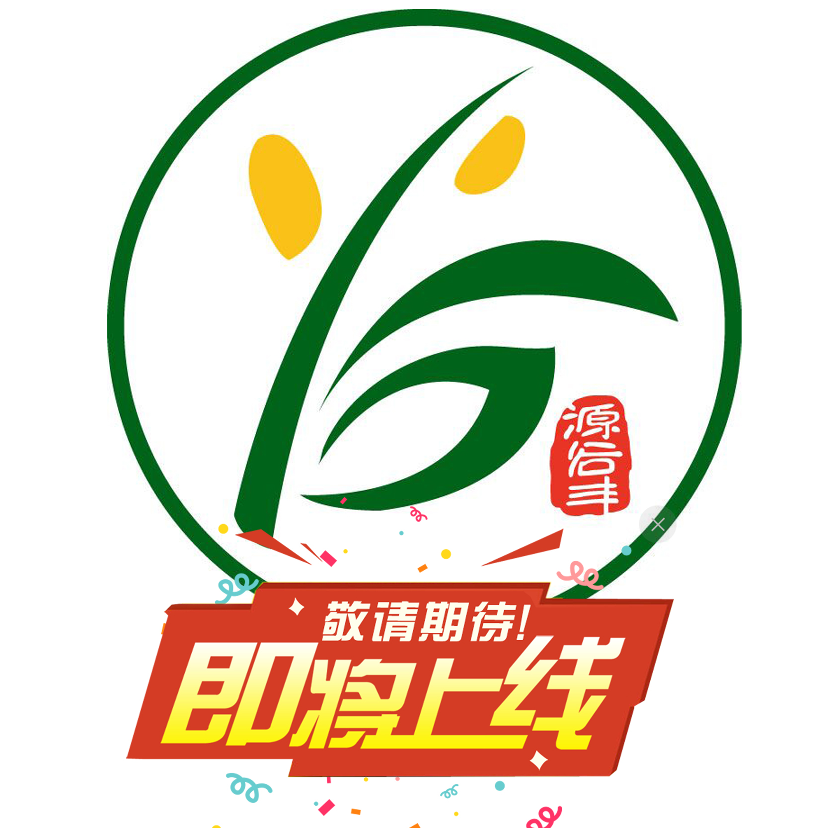 敬请期待