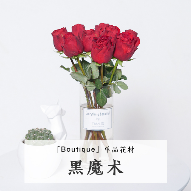【自选系列】黑魔术玫瑰-10枝-品种颜色随机