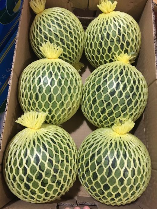 宏丰精选 海南特小凤瓜 黄肉小西瓜 精品黄小玉 商品图1