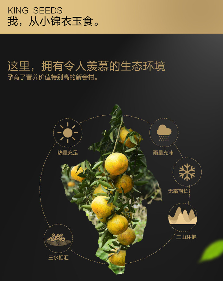 陈皮村丨标准仓储 新会古井陈皮 2013年 200g