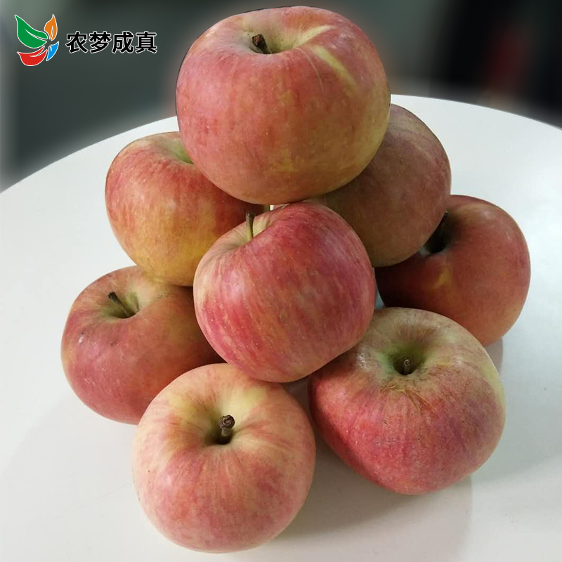 山西运城丑苹果8斤装36.8元包邮