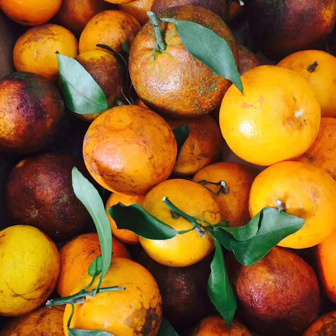 「超甜乌柑」产地直发