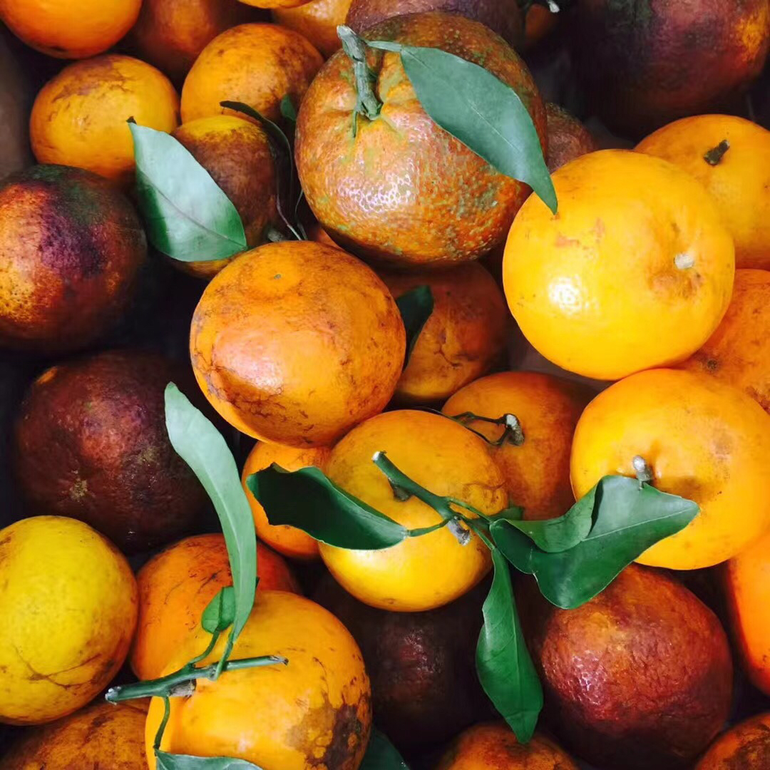 「超甜乌柑」产地直发