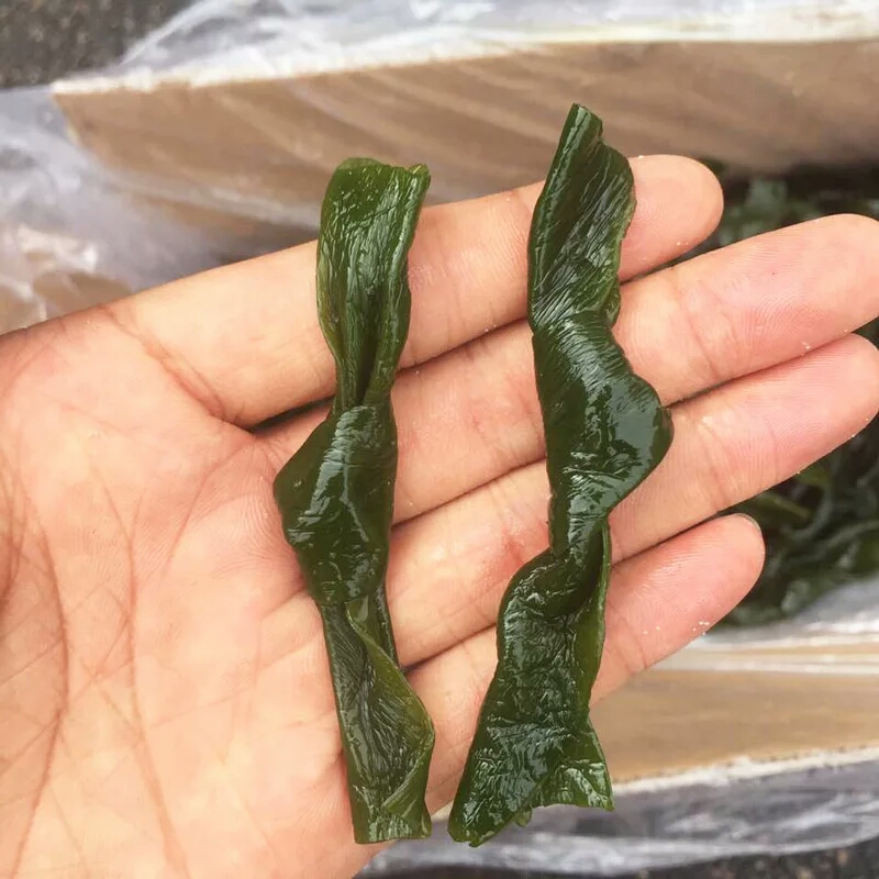 【海带结】纯天然原生态海带结,无任何添加剂,半干品,营养丰富物美