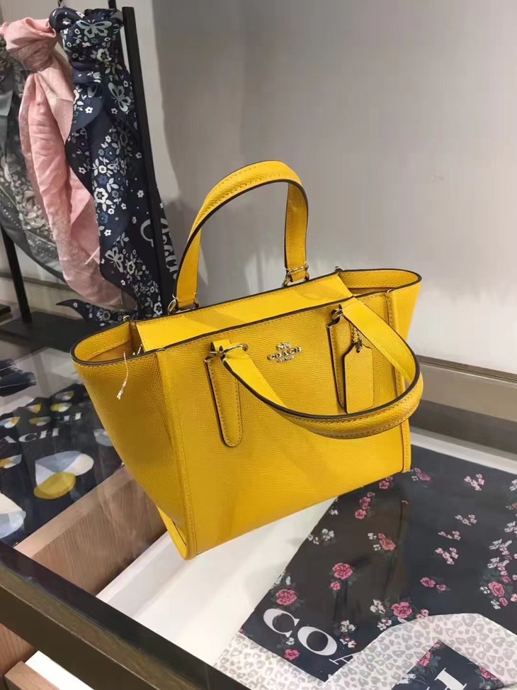 【纽约直邮】蔻驰coach女士小号蝙蝠包,多色可选,尺寸:28*17*12cm