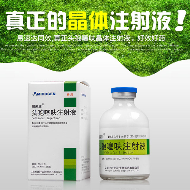 兽药兽用头孢噻呋晶体注射液易速达速倍治仔猪三针保健副猪链球菌