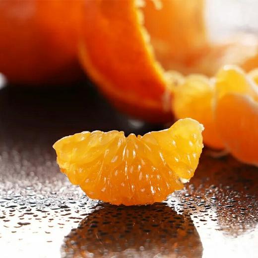 广西砂糖橘500g 商品图2