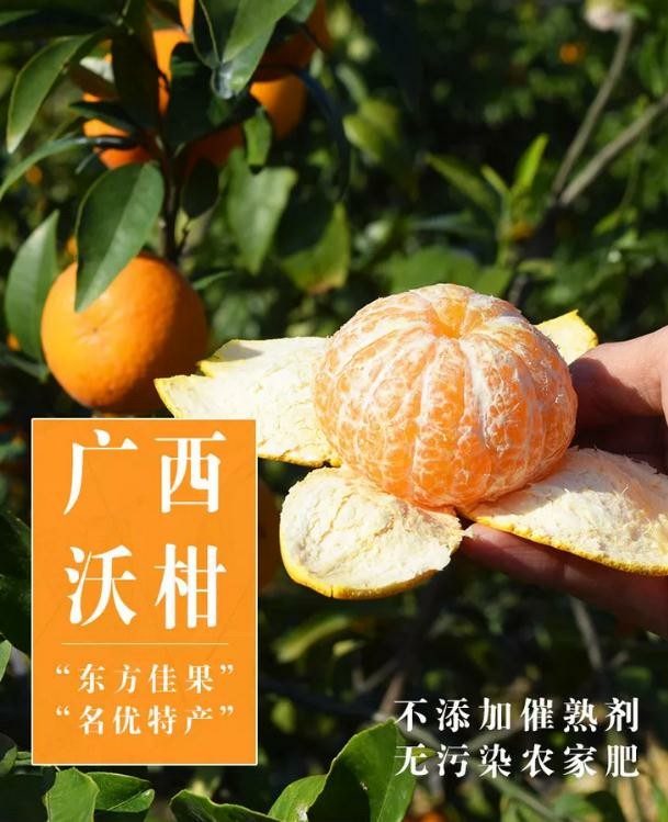 沃柑的商品卖点,沃柑水果的创新卖点,沃柑的卖点有哪些_大山谷图库