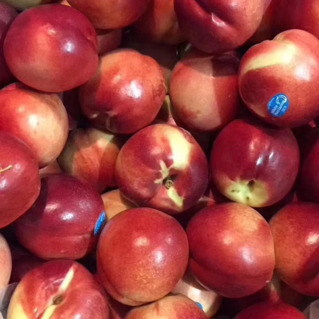 澳洲油桃 脆脆脆 口感清甜【5斤装】南宁市内包邮