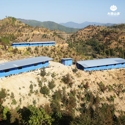 【实体卡】欢喜富硒乌鸡 高山丛林散养 中草药喂养 整只约2斤 商品图3