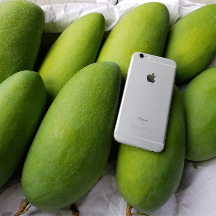 越南青芒果新鲜水果包邮批发香甜可口大芒果 非凯特贵妃芒10斤