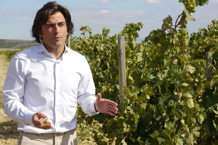 兰泽酒庄碧塔斯单一园干红