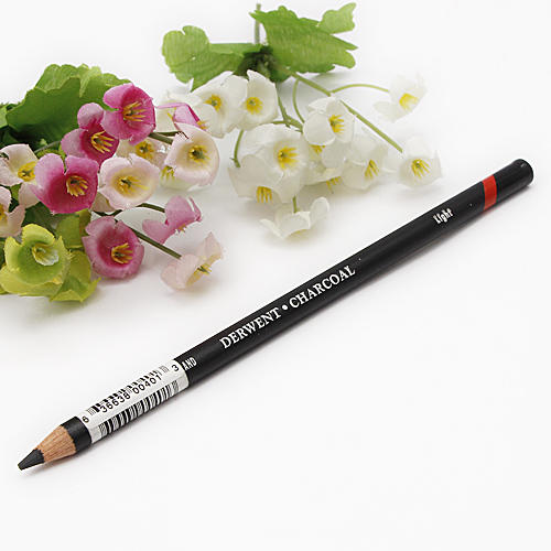 Derwent得韵素描天然炭笔抛光笔调色笔过渡素描铅笔10支灰色 A29 商品图0