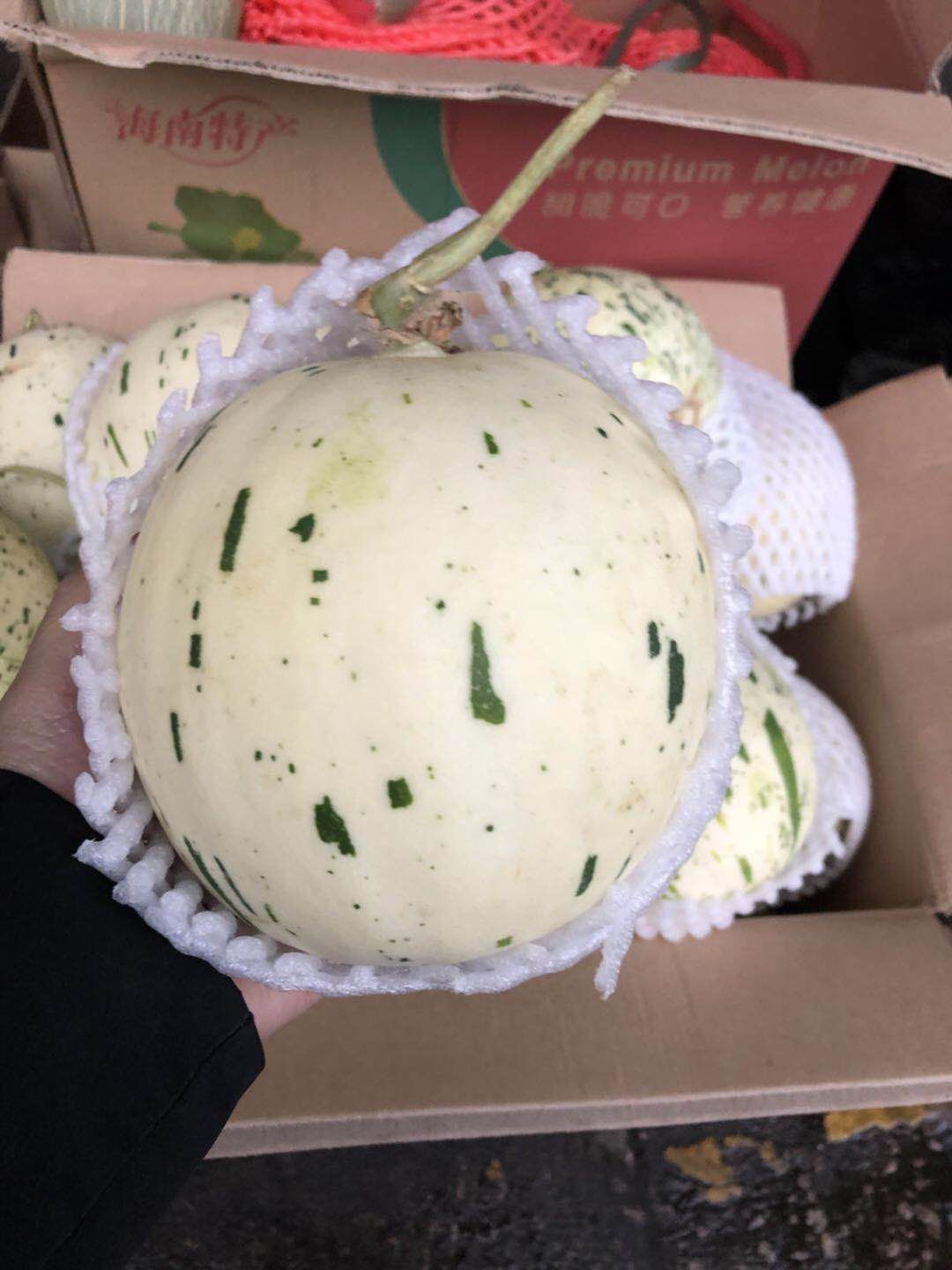 预售:流星蜜瓜 脆甜 多汁【2个装,4个装】广西区内包邮,预计12号到,急