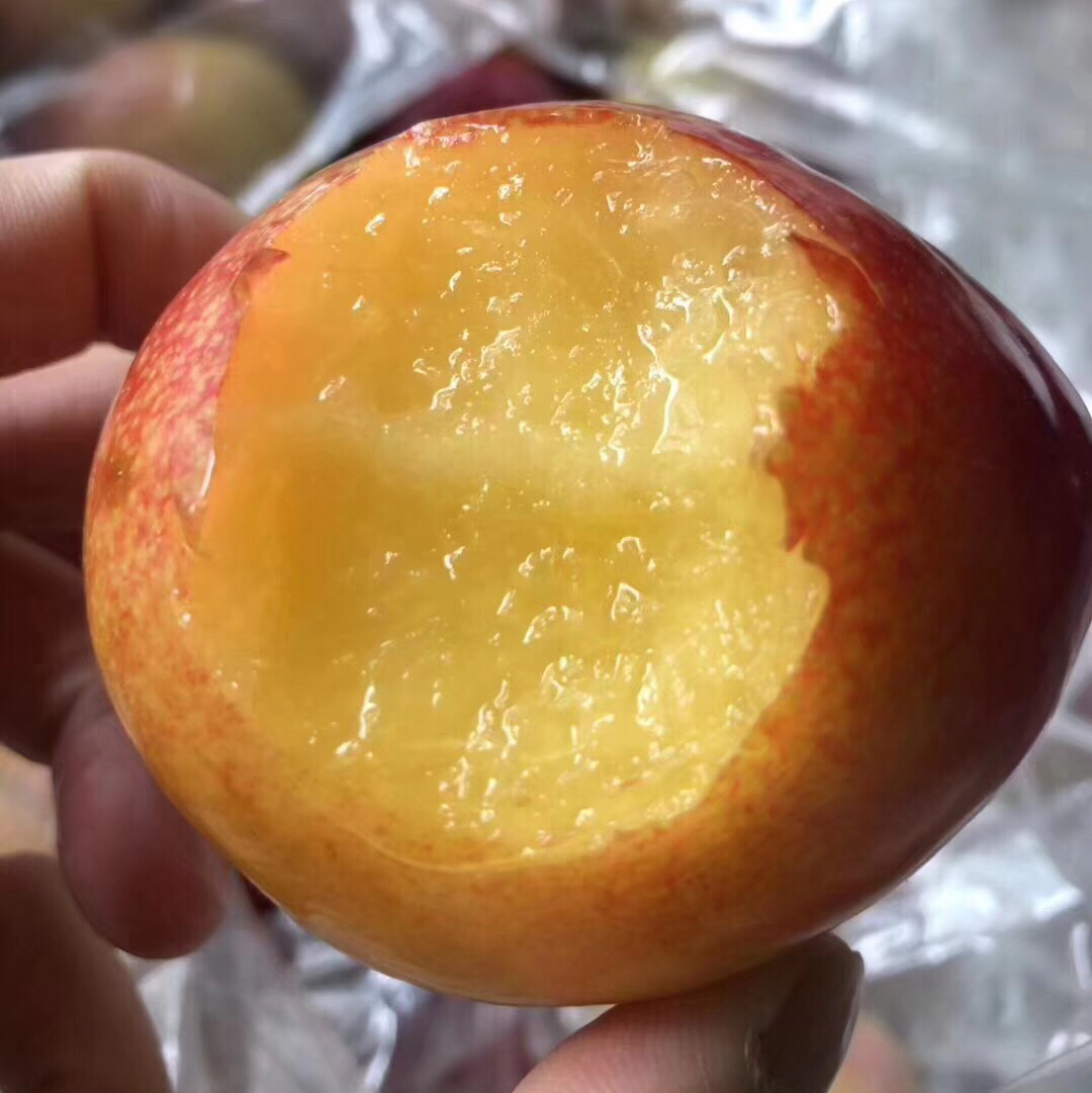 顶级进口珠宝李 这一款李子,纯粹甜蜜,毫无酸意,极度之爽,鲜美必赏!