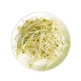 小黄豆芽细(非批发合作商户拍下不发货)