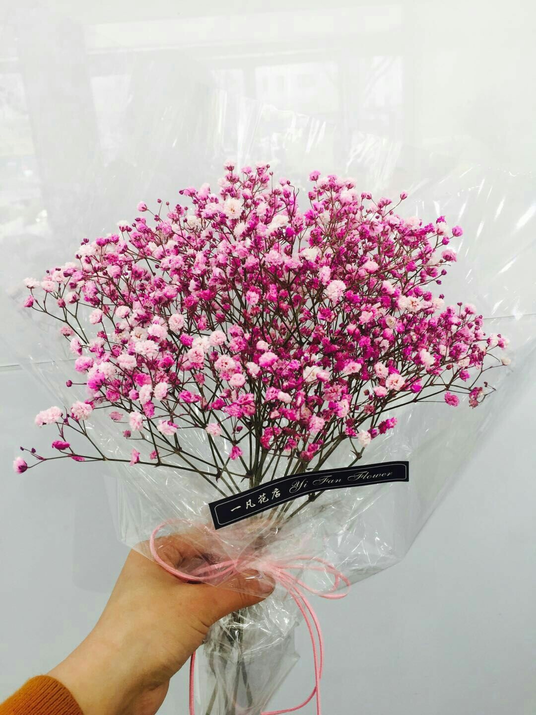 彩星花束,适合各种人群,各种场所, 只需19.