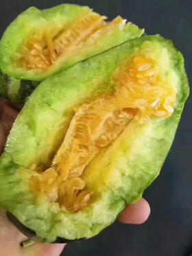 玻璃脆甜瓜 酥脆甜