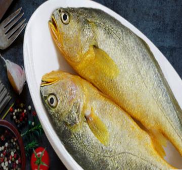 黄花鱼（一条约0.8斤）  商品图0