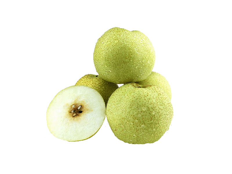 砀山梨丨大果单个约400g