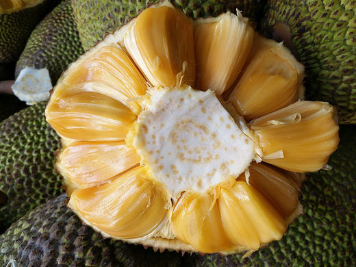 产地直达 泰国进口 新鲜 红心 红肉菠萝蜜 甜而不腻 48小时发货 一级