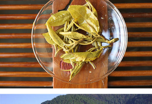 云龙400g大栗树碧螺春