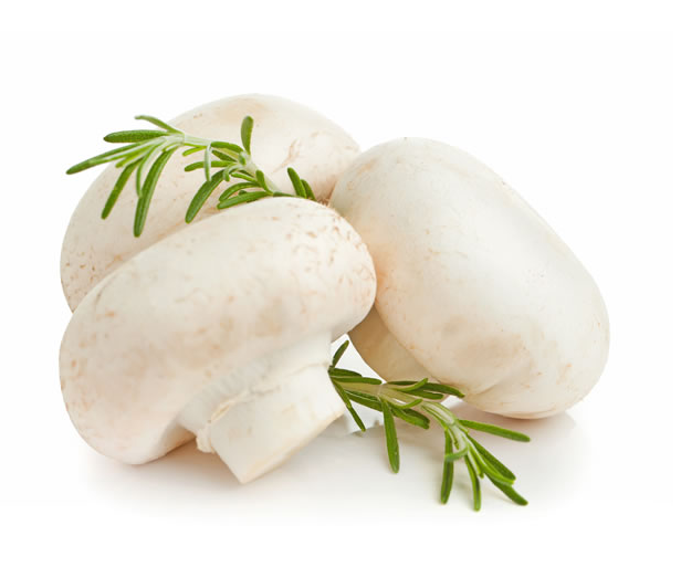 圆菇(仅限西宁市区销售)