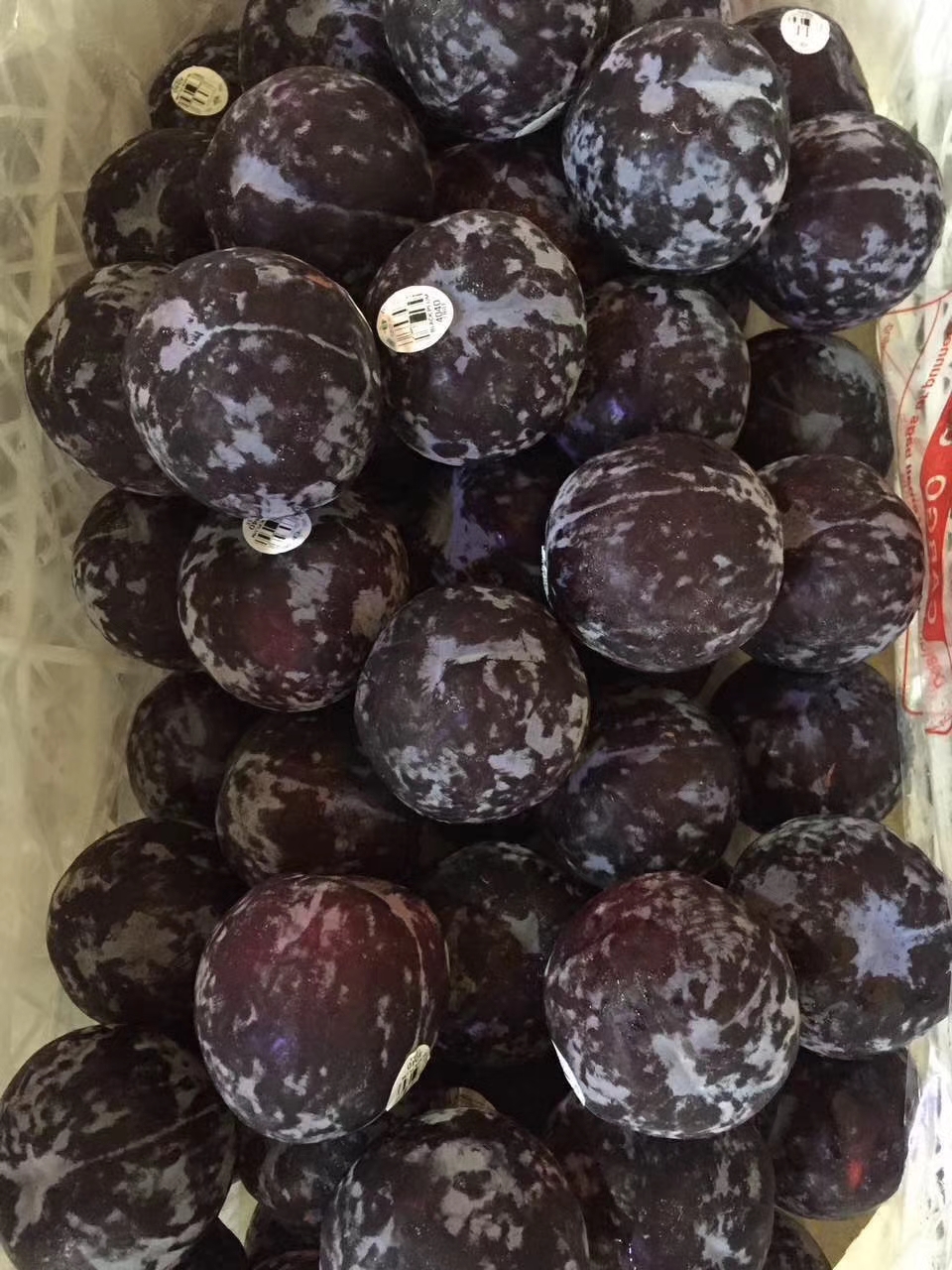 智利黑宝石黄肉李 酸甜开胃 软熟后更甜【3斤装