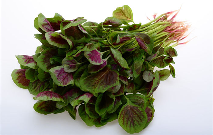 红苋菜 500克/份