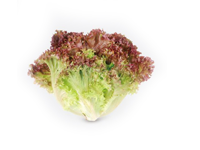 芸岭有机罗莎红生菜(250g/份)