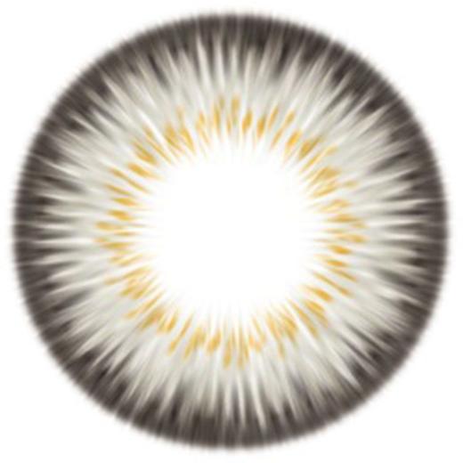 HOLY Nara 硅水凝胶日抛 水库 棕/灰/蓝（14.2最高800） 商品图3