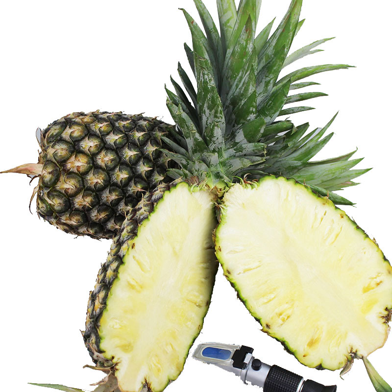 缅甸菠萝 3个装